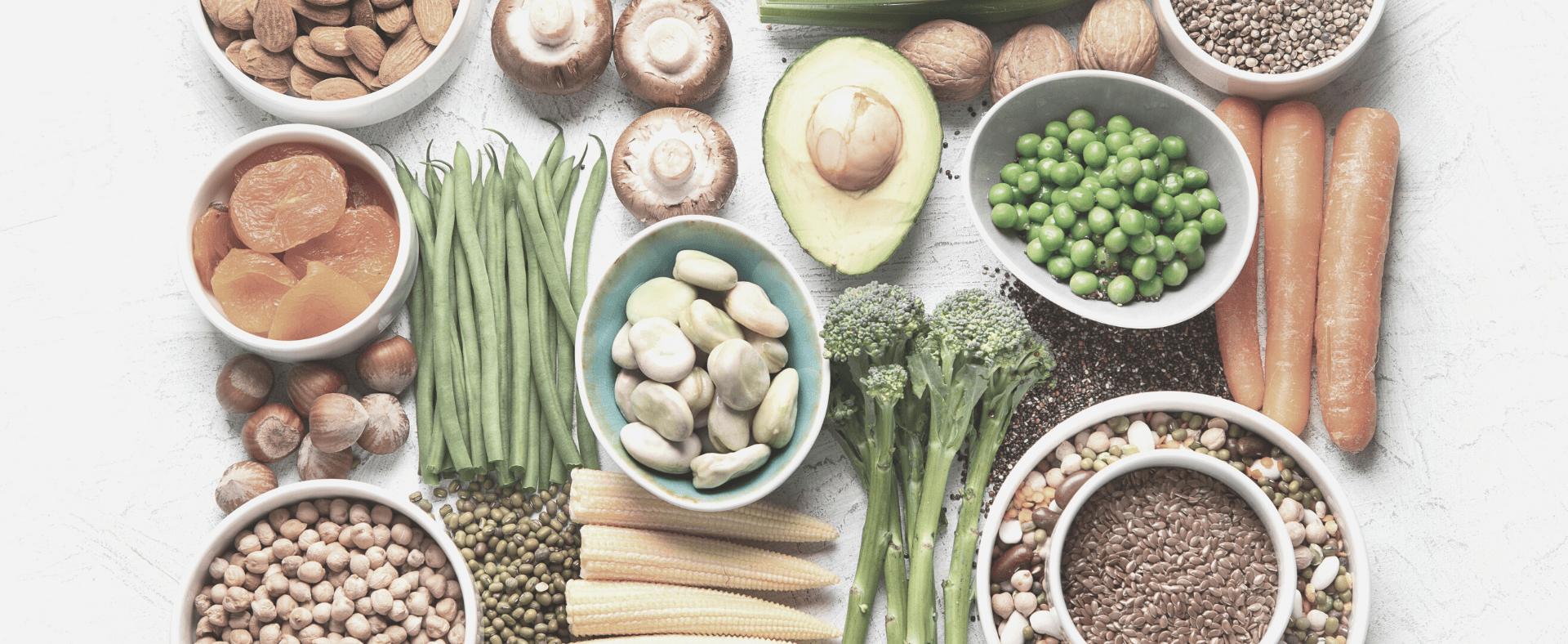 plant based diets - why are they so great?